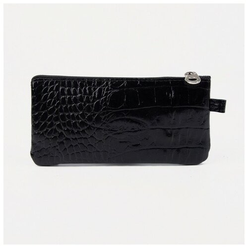 Ключница на молнии длина 13 5 см кольцо цвет чёрный 935₽