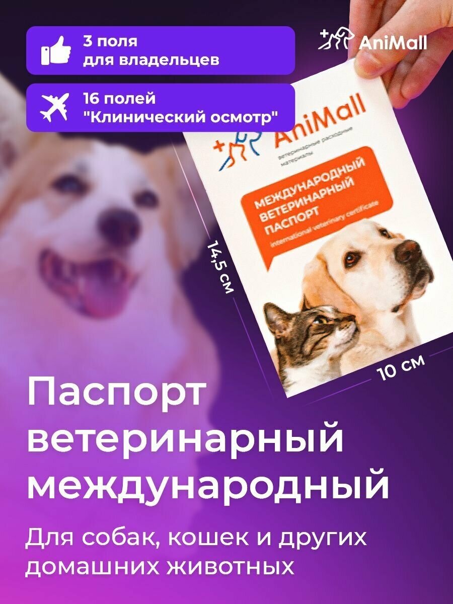 Паспорт ветеринарный международный для собак, кошек и других домашних животных AniMall