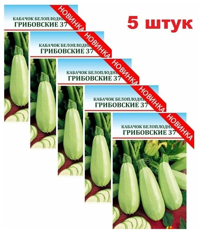 Семена Кабачков (5 упаковок) Кабачок белоплодный Грибовский 37 на рассаду Ф1 в открытый грунт F1 2023 год