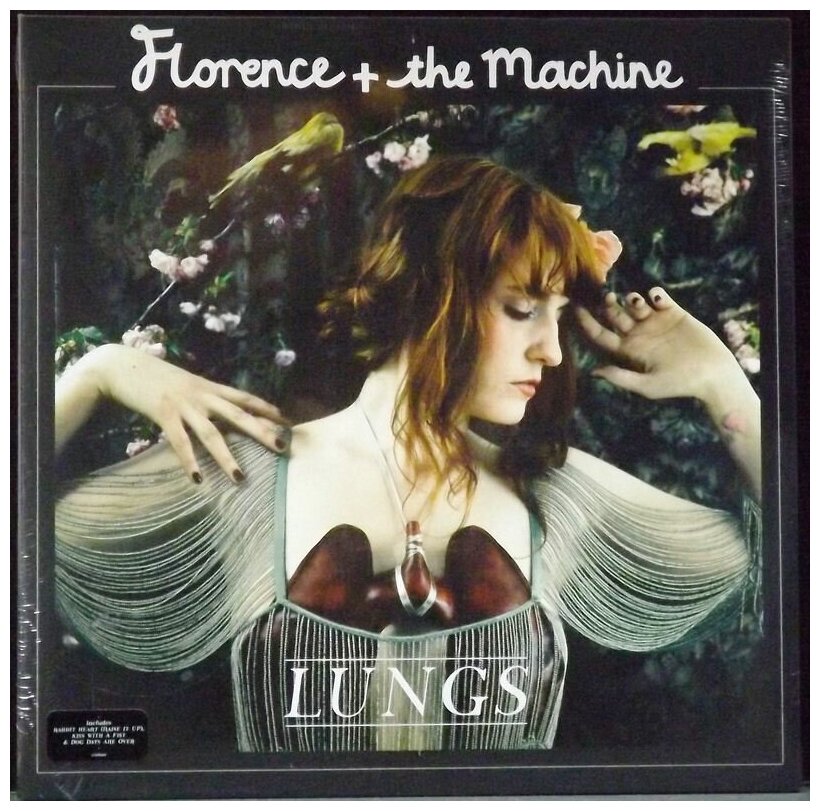 Florence And The Machine Florence And The Machine - Lungs Island Records Group - фото №5