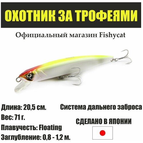 Воблер для рыбалки Fishycat Tigercub 205F / R06 - приманка на щуку