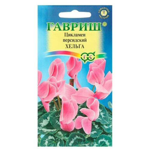 Семена цветов Цикламен Хельга, персидский, 3 шт. цветы цикламен русский огород персидский зеленый дом 7 шт