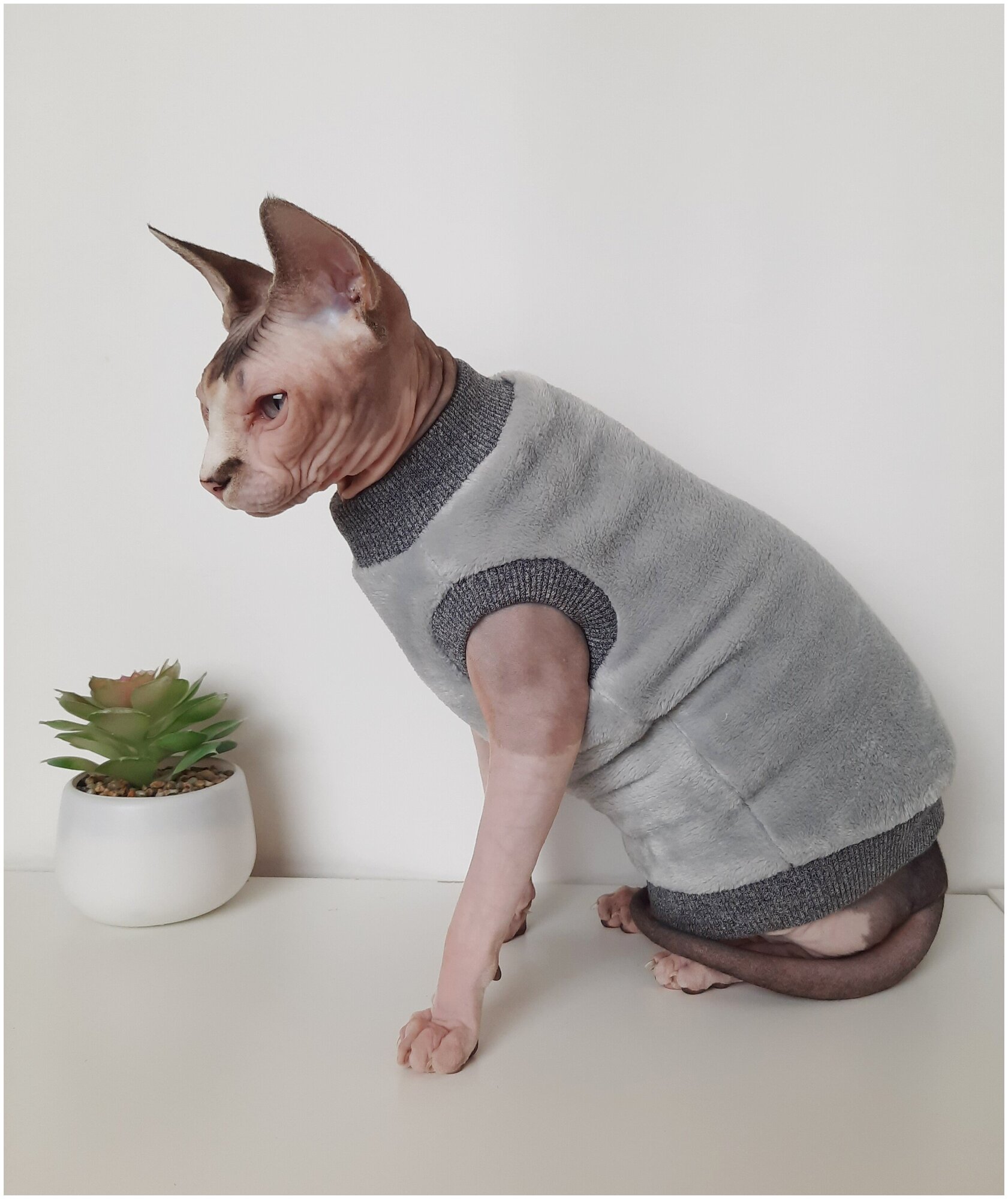 Толстовка, свитер, шуба для кошек сфинкс, размер 30 (длина спины 30см), цвет серый/ Одежда для кошек сфинкс / одежда для животных - фотография № 8