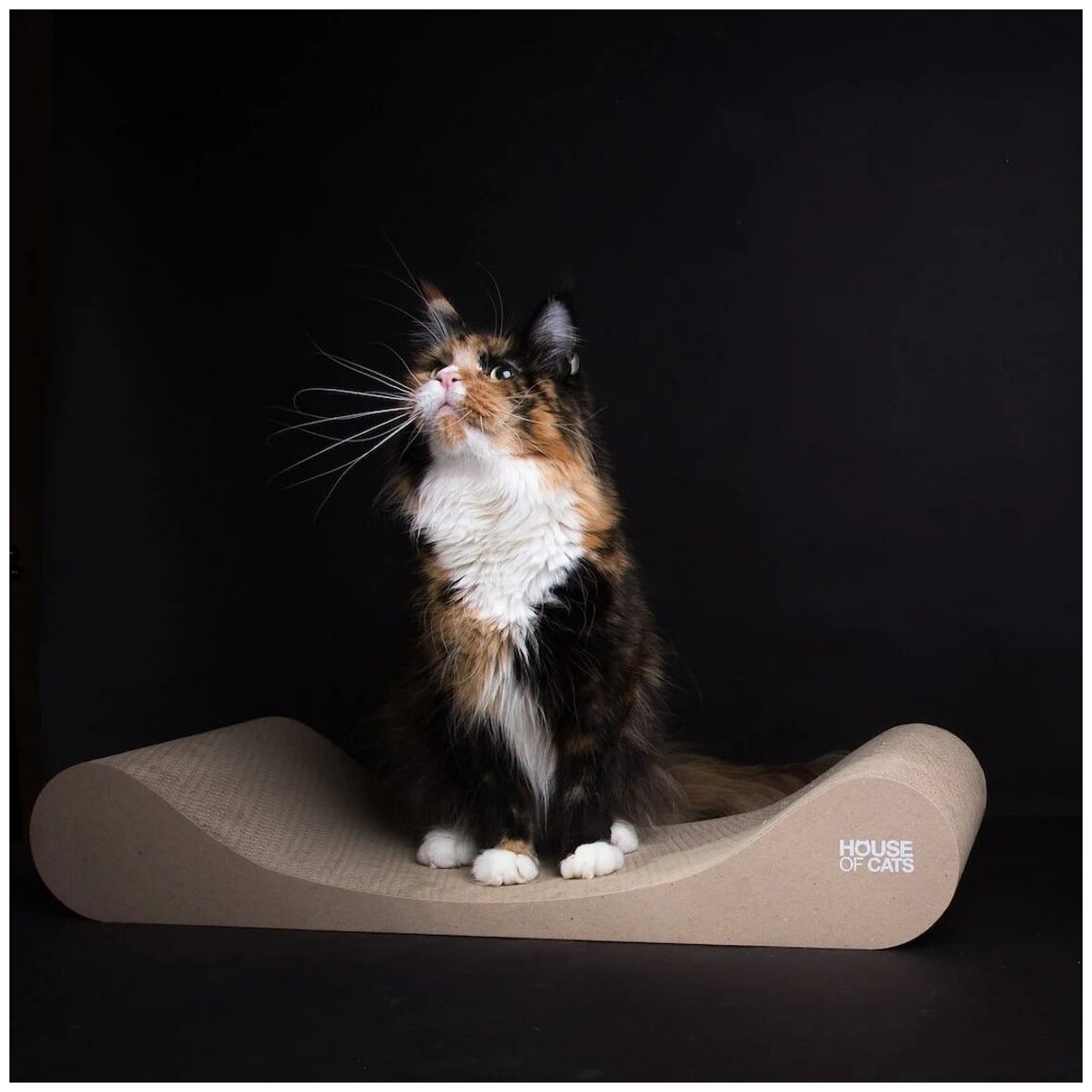 Когтеточка-лежанка для кошки, 68х13 см - фотография № 3