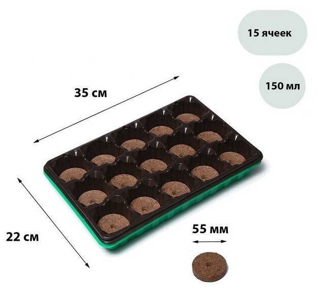 Набор для рассады: торфяная таблетка d = 5.5 см (15 шт.), кассета на 15 ячеек по 150 мл, поддон, зелёный - фотография № 2