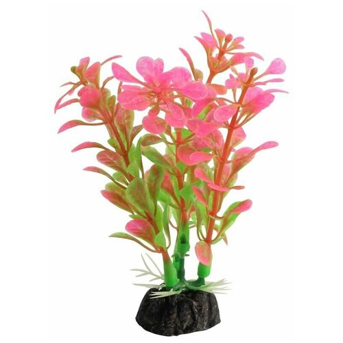 Растение для аквариума Альтернантера розовая, 100мм Laguna AQUA 74044113