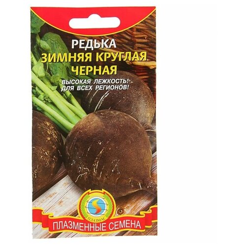 Семена Редька Зимняя круглая, 1 г семена редька черная зимняя круглая 1 г металлизир