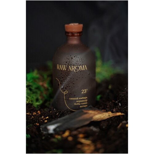Ароматизатор для дома '23 от RAW AROMA / Парфюм для интерьера / Ароматический диффузор c энергией крепкого фундамента / Табачный, ванильный, мужской / 100 мл