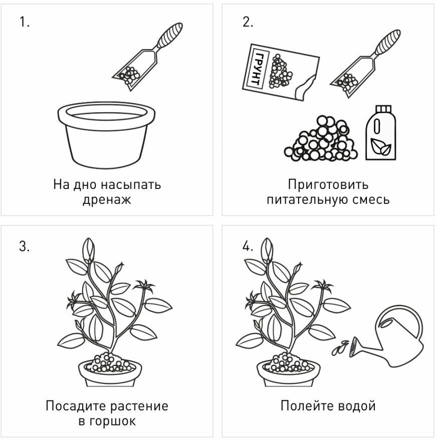 Субстратный компонент (земля) для комнатных растений "Декоративно-лиственные" 1л - фотография № 5