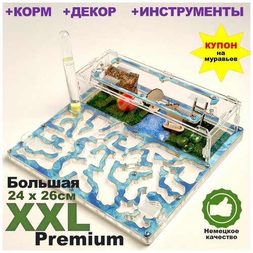 Большая муравьиная ферма XXL Premium 24*26см Полный комплект Вода