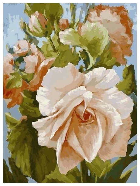 Роза #781-AS Белоснежка Раскраска по номерам 30 х 40 см
