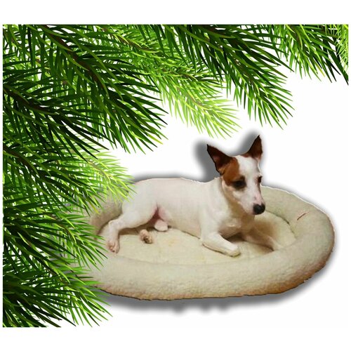 Ладиоли М-101М Лежак овальный с жестким валиком средний