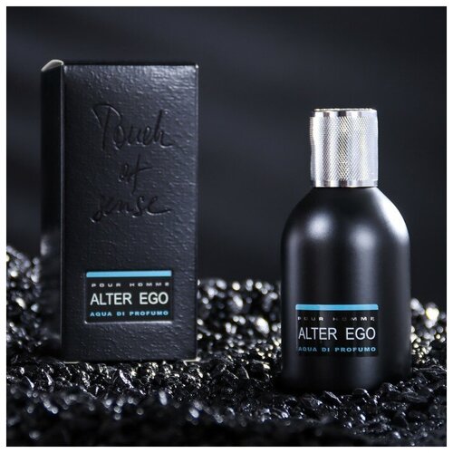 Туалетная вода мужская Alter Ego Aqua di profumo, 100 мл туалетная вода мужская alter ego the one 100 мл parfums louis armand 9147064