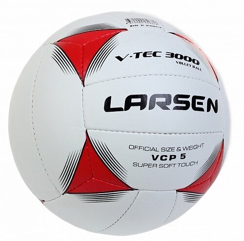 Волейбольный мяч Larsen - фото №2