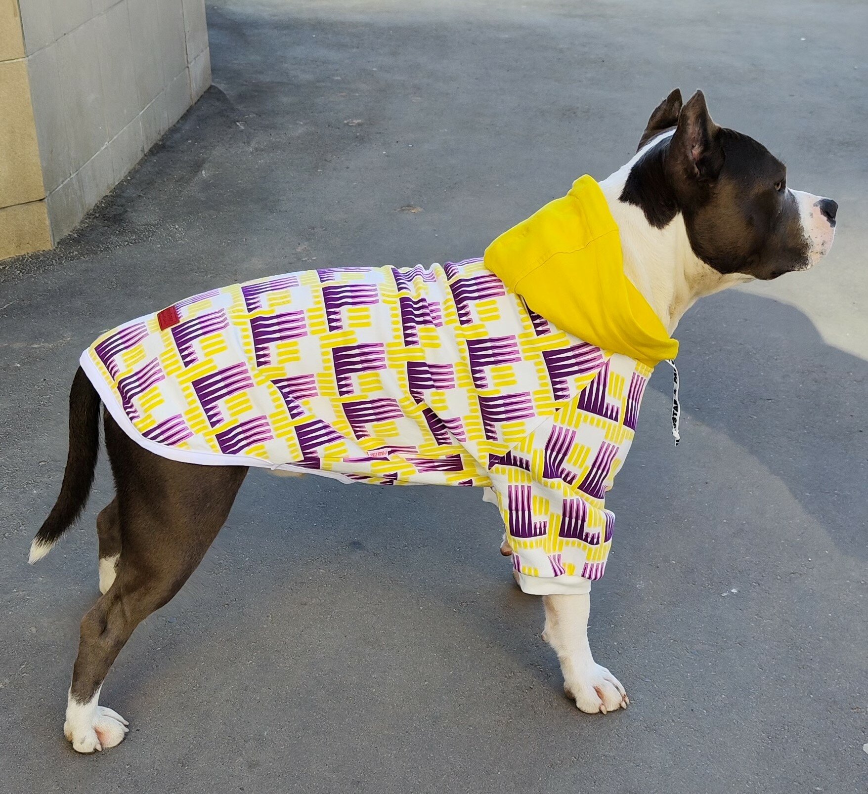 Одежда для собак крупных пород/ Толстовка для собак Желтая с капюшоном/ 4XL Family Pet - фотография № 6