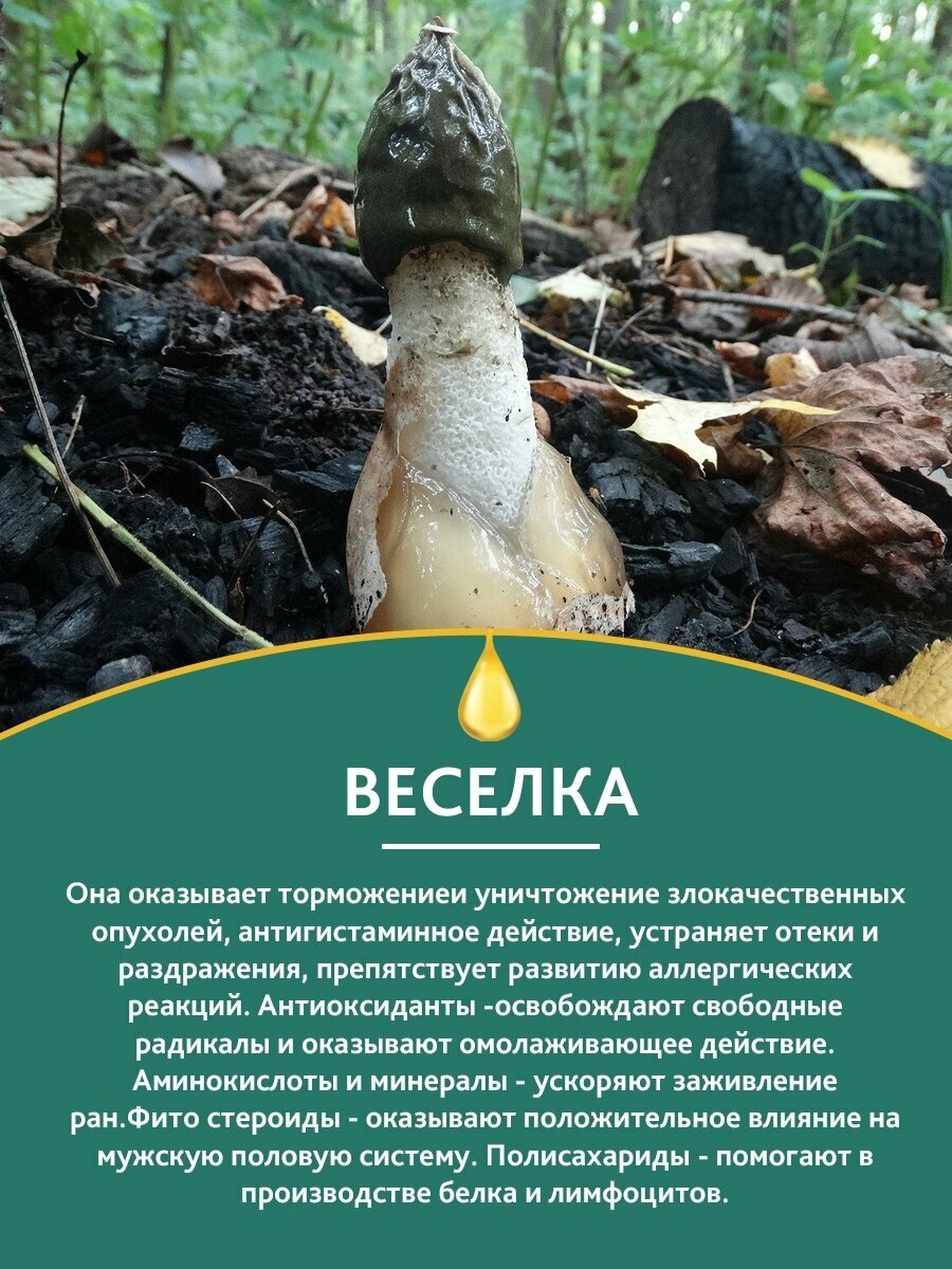 Препараты Для Лечения Бесплодия Суппозитории с весёлкой при опухолях язвах при женском бесплодии фито свечи вагинальные, ректальные