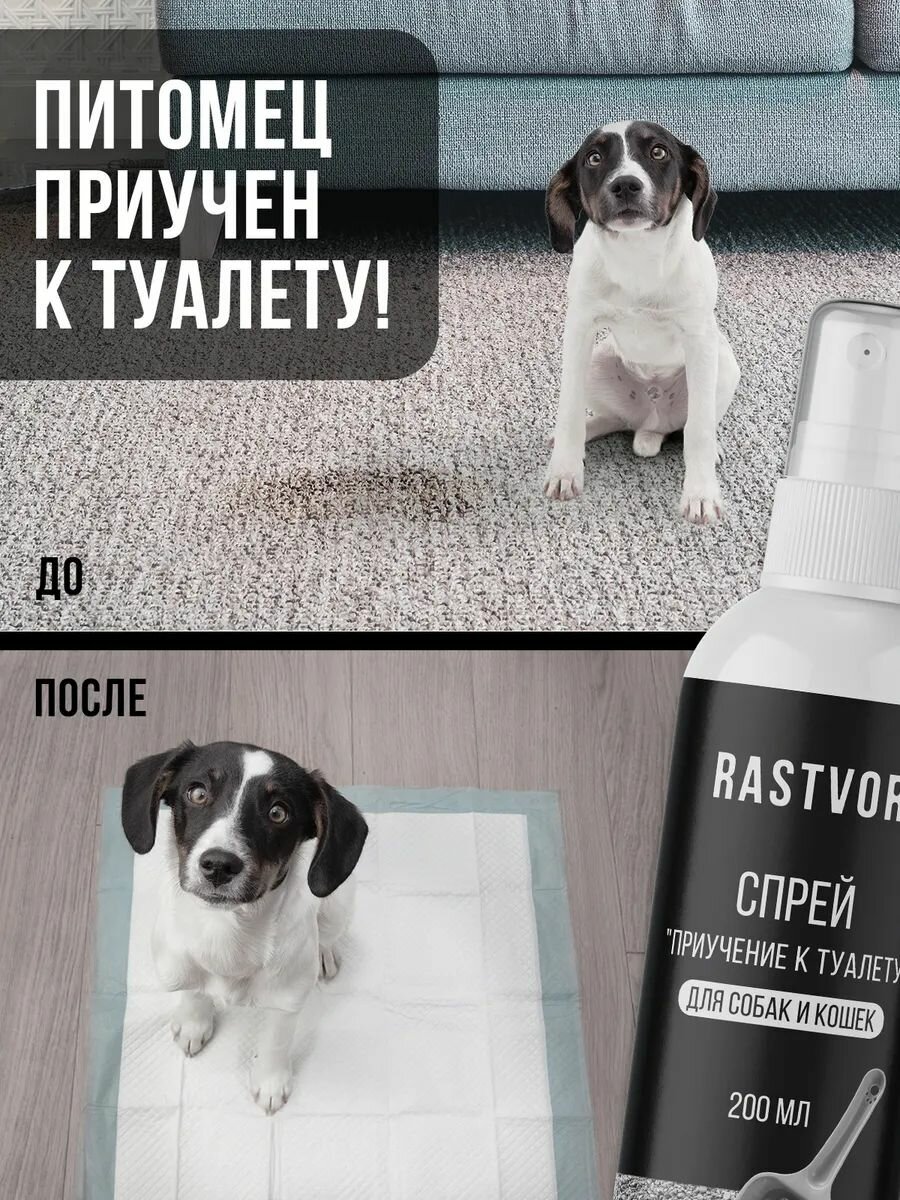 Спрей "Приучение к лотку", для кошек и собак, с дозатором, 200мл — фото 1