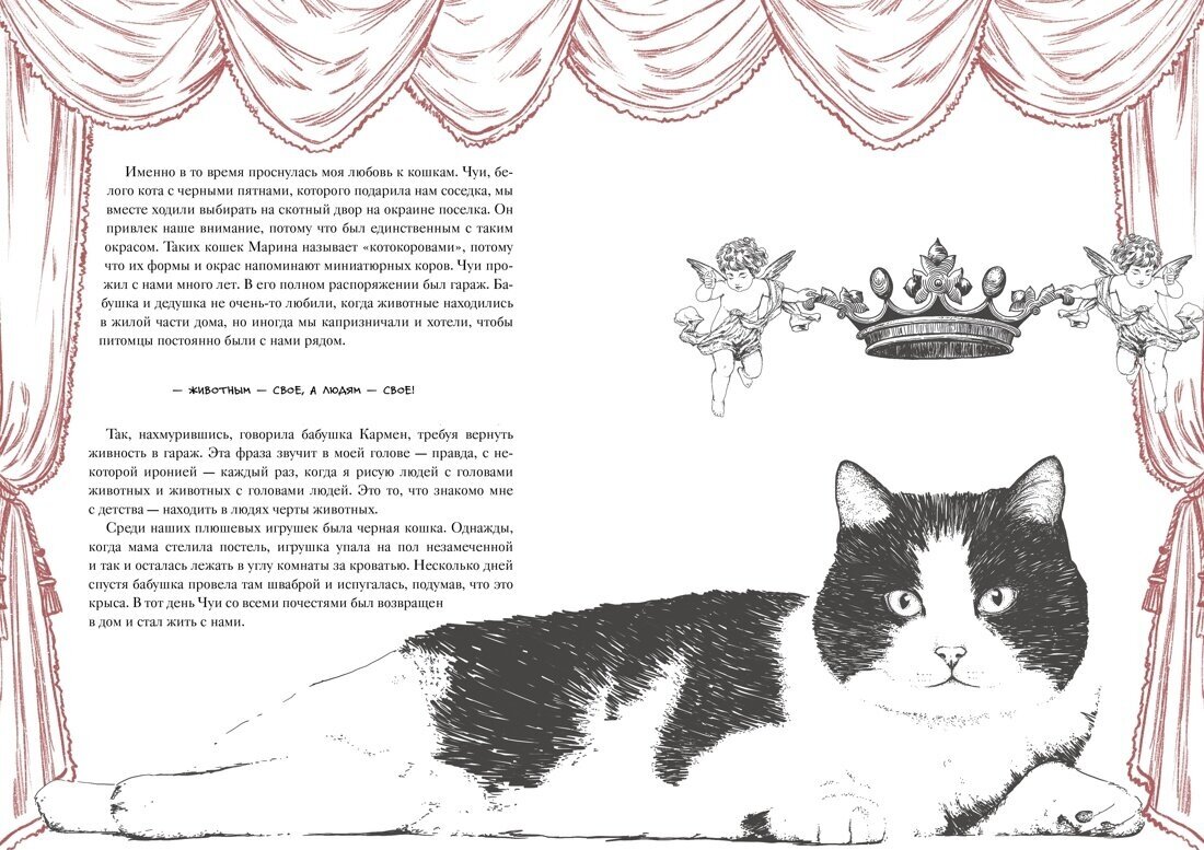 История кота, изменившего одну жизнь. Признание в любви - фото №12