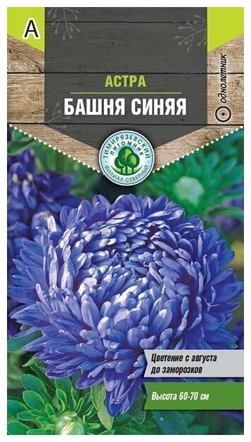 Семена Тимирязевский питомник цветы астра Башня синяя (пионовидная) 0,2г (10)