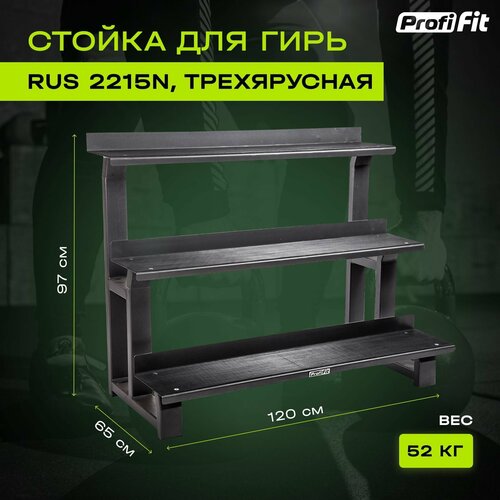 Стойка PROFI-FIT 2215N серый металлик