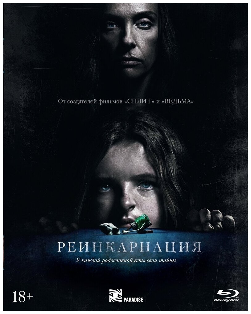 Реинкарнация (2018) (Blu-ray) + артбук