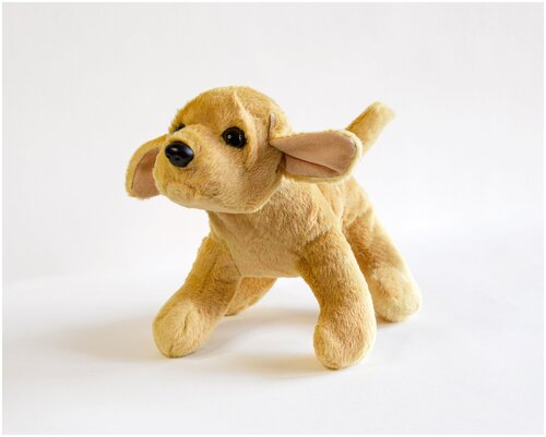 Мягкая игрушка Magic Bear Toys Собака Ретривер золотистый 22 см.