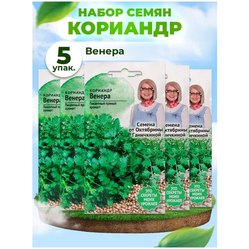 Набор семян Кориандр Венера 3 г - 5 уп., семена Кориандра для балкона дома, кинза для проращивания для сада, зелень для посадки для открытого грунта