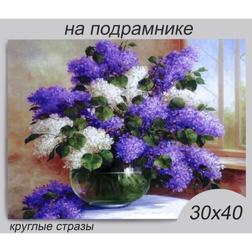 Алмазная мозаика на подрамнике 30*40 см