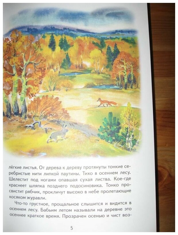Русский лес (Соколов-Микитов Иван Сергеевич) - фото №16