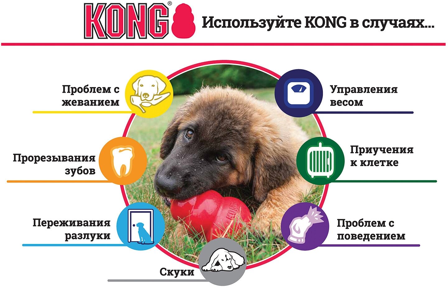 Игрушка KONG Classic Puppy M, для щенков средних пород, голубая