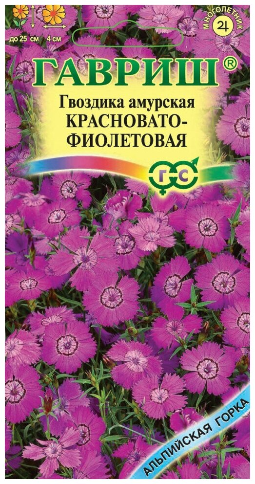 Гвоздика амурская Красновато-фиолетовая Альпийская горка