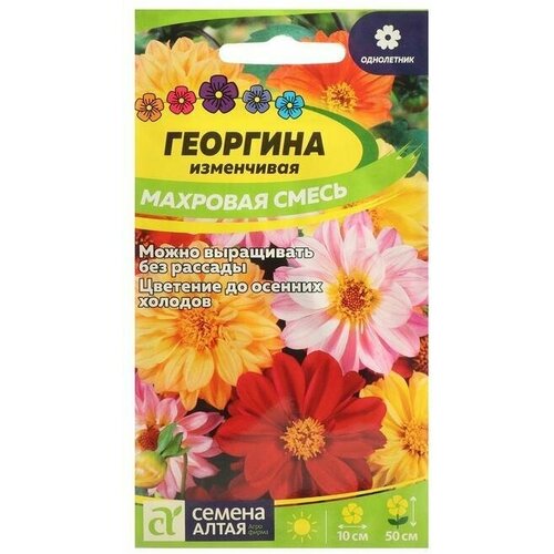Семена цветов Георгина Махровая, смесь окрасок 0,2 г 8 упаковок