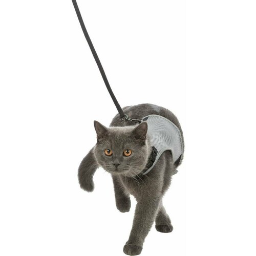 Шлейка для кошек Trixie Cat Harness zee cat atlanta harness