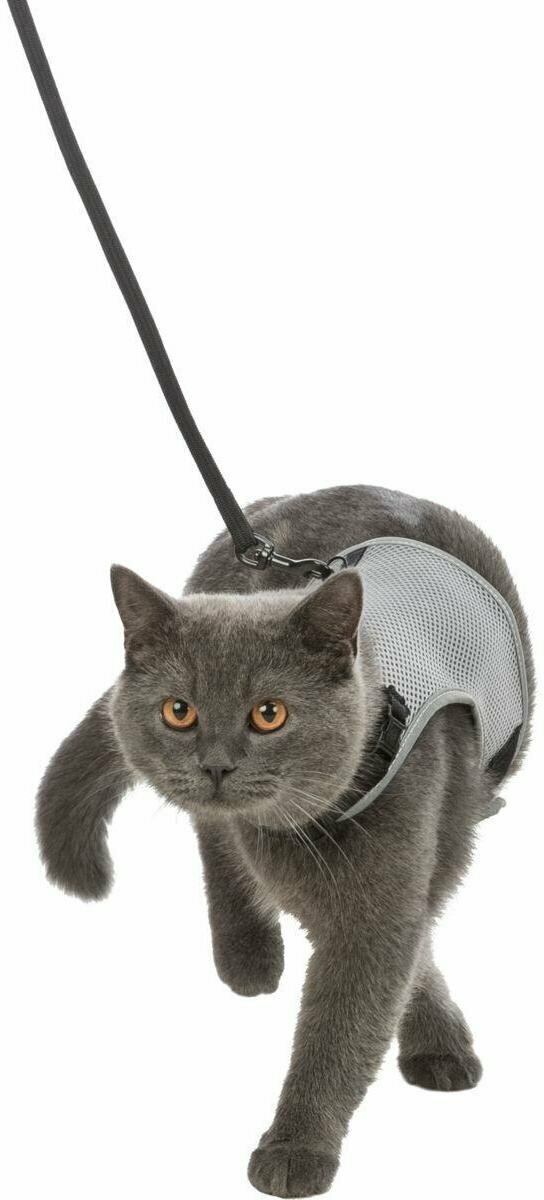 Шлейка для кошек Trixie Cat Harness