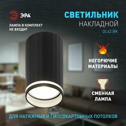 Светильник потолочный настенный спот ЭРА OL42 BK MR16 GU10 IP20 черный