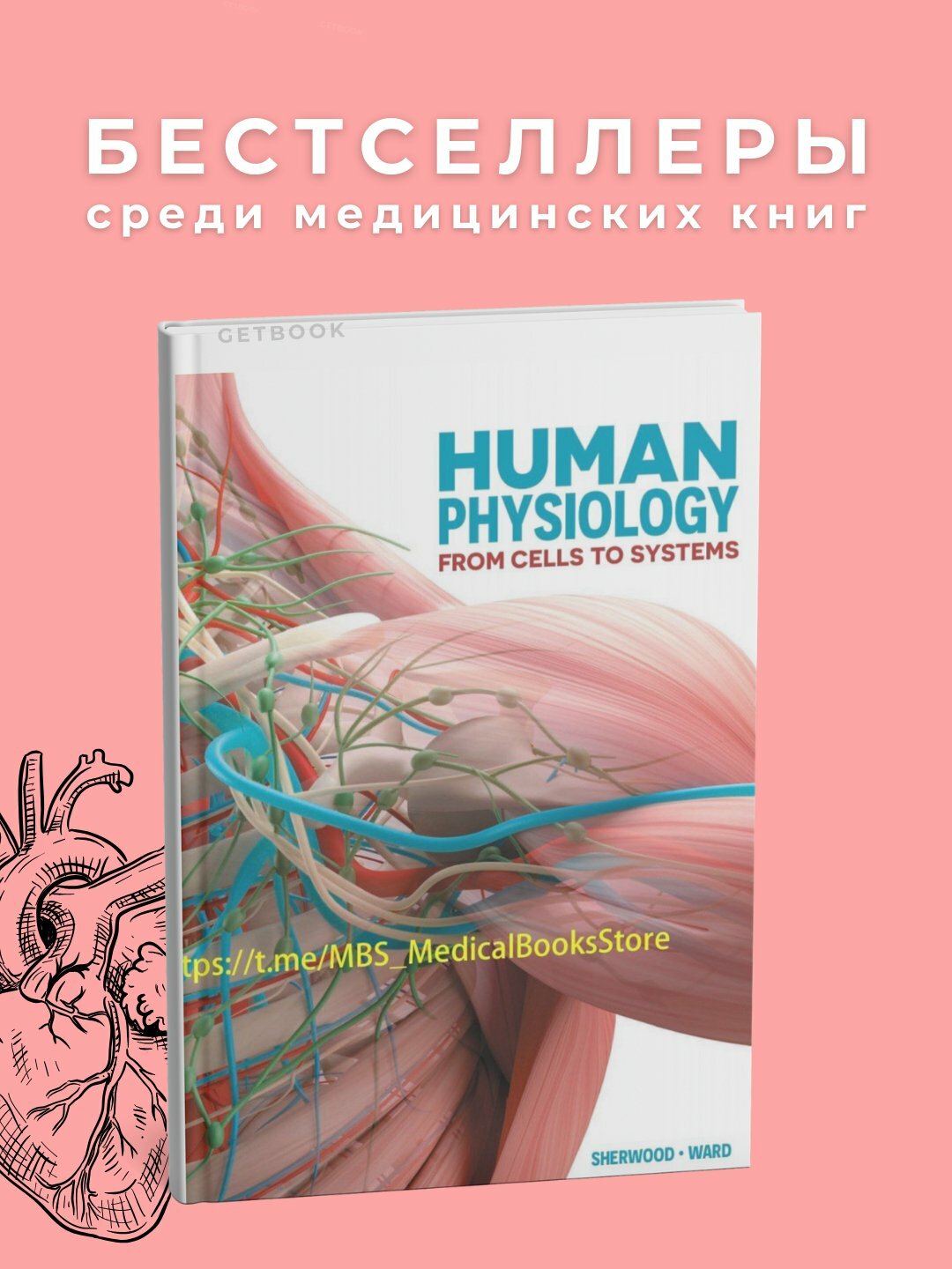 Учебник Lauralee Sherwood "Medical Physiology", мягкий переплет, 960 стр, 2025 г.