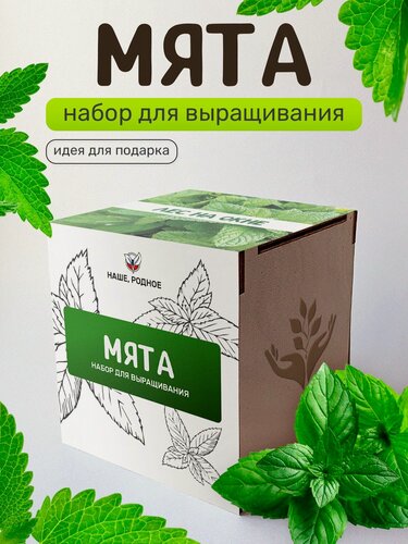 Изображение товара Набор для выращивания растений Сад на окне "Мята", в деревянном горшочке