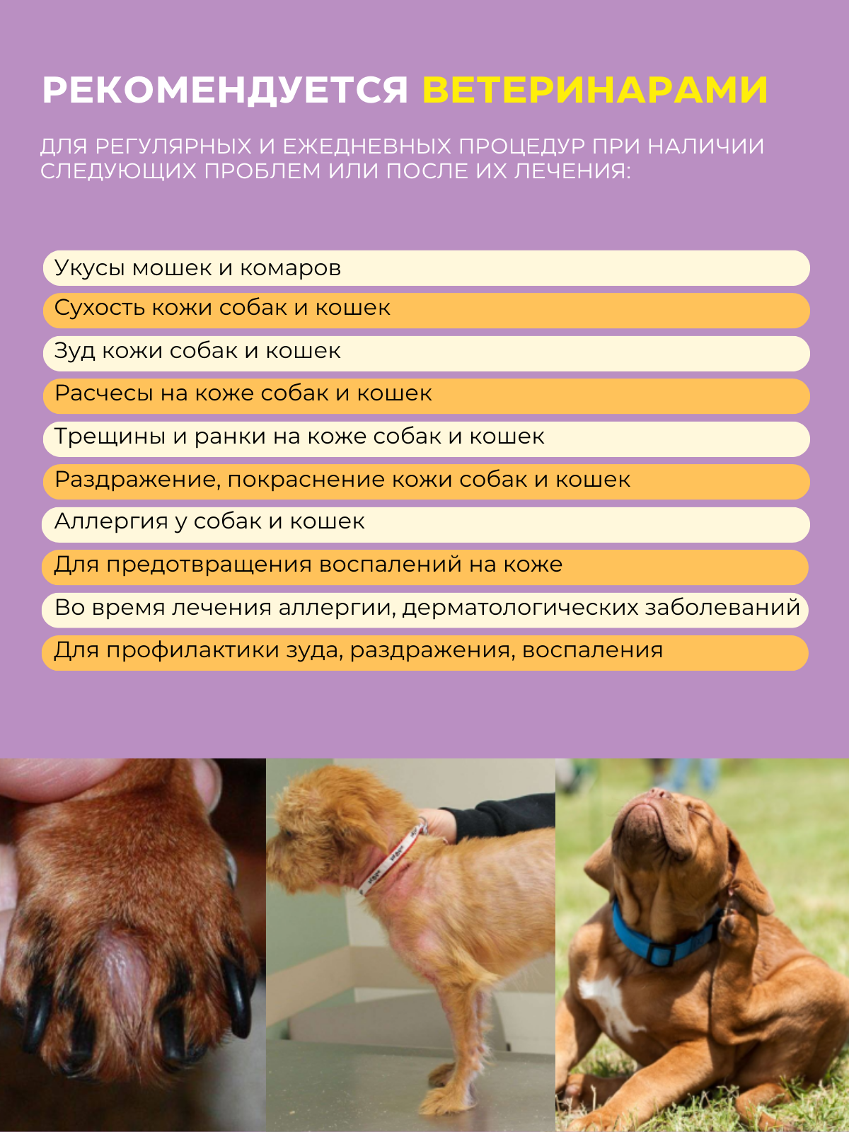 Картинки Skin Balance - Ранозаживляющее средство от зуда, сухости, трещин на коже собак и кошек от SILVERIA