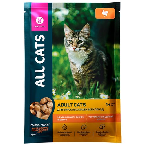 All Cats Пауч для кошек с тефтельками из индейки в соусе 0.085 кг