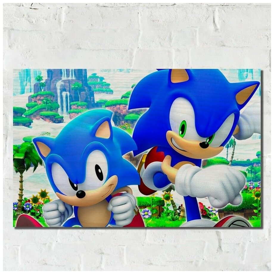 Картина интерьерная на дереве рисунок игра Sonic Generations - 11299