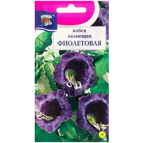 Семена цветов Кобея Фиолетовая 0,3 г. кобея фиолетовая семена цветы
