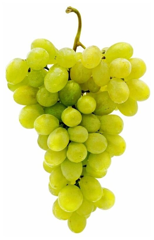 Виноград белый, 500 г