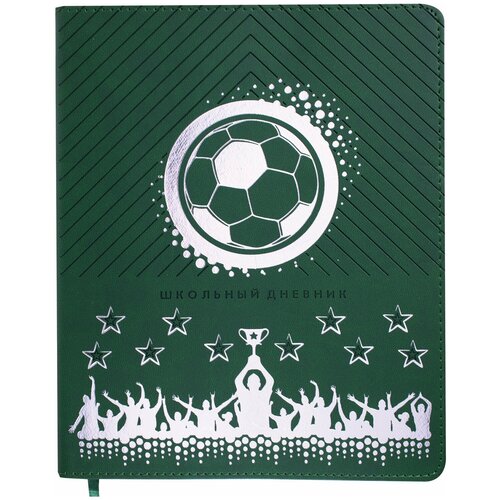 Дневник 1-11 класс 48 л, кожзам (гибкая), термотиснение, фольга, , 