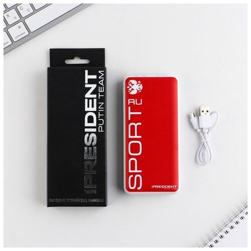 Зарядное устройство Sport 8000мА модель PB-16 145 х 69 см 281600₽