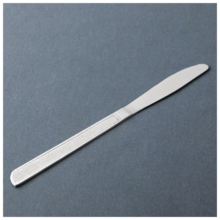 Нож столовый Доляна «Пулкин» h=206 см толщина 2 мм цвет серебряный