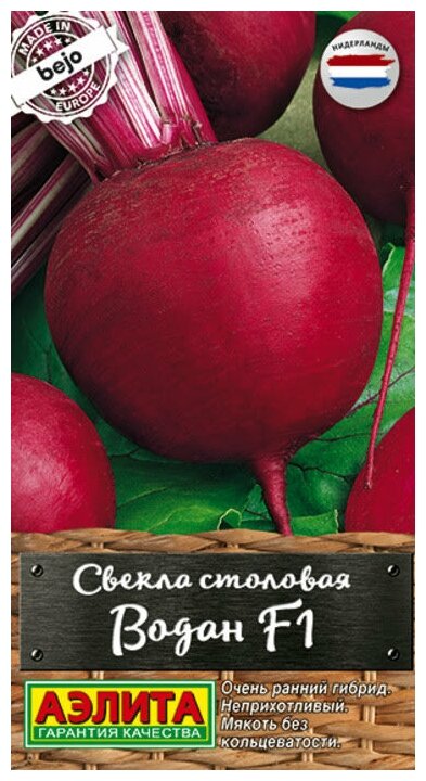 Семена. Свекла столовая 