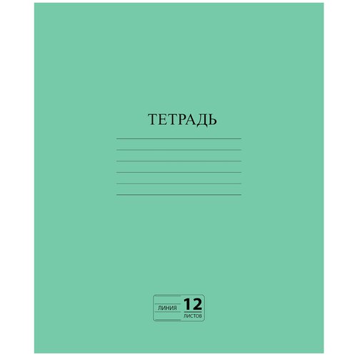 Набор 40 шт. Тетрадь зелёная обложка 12 л, линия с полями, офсет №2 эконом, «пифагор», 104985