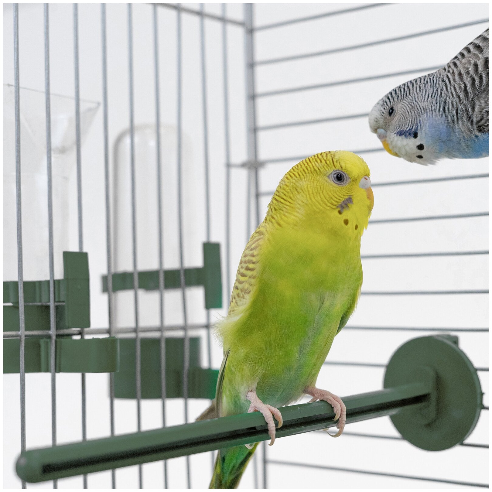 Клетка для птиц 88 х 58 х 40см: для попугая, для канарейки ЛОФТ-2 разборная "PetTails", 2 секции, шаг прута 12мм, изумрудная - фотография № 9
