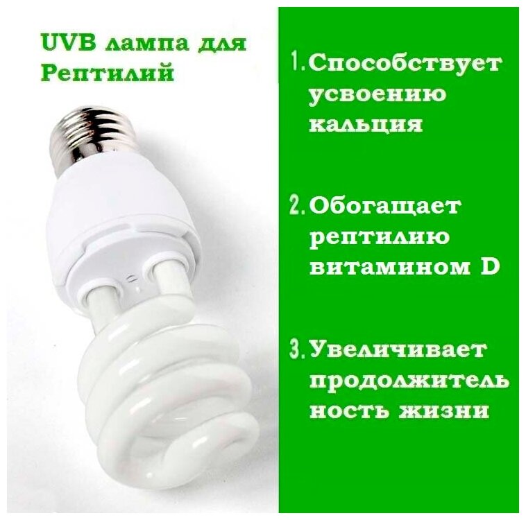 Уф-лампа для террариума Е27, UVB 10, 13Ватт - фотография № 2