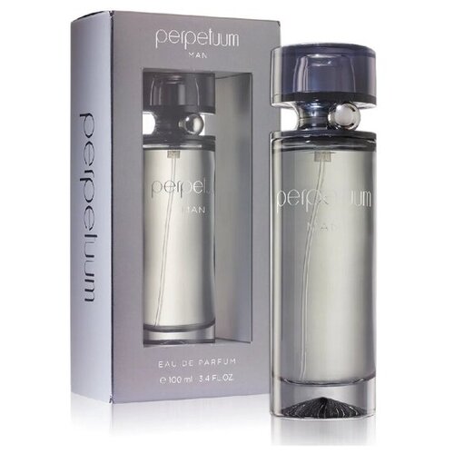 Мужская парфюмерная вода Brocard Perpetuum, 100 мл. парфюмерная вода brocard secret service platinum edt100ml